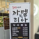 까멜리아 이미지