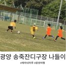 선동잔디구장 천연잔디구장 | 광양 유아축구 리틀드래곤즈 후기 송죽 천연잔디구장에서 축구수업 추천!