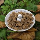 개발바닥친구들 이미지