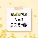 뉴페이스의원