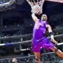 Vince Carter Pure Domination 이미지