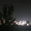 금성로3(동) 이미지