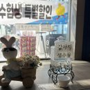 박태수안경 이미지