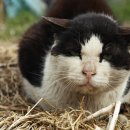 천하고물상 이미지