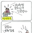 점심 식사후 여유롭게 읽는글 이미지