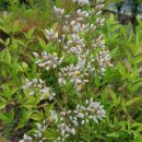 남천사거리(3) 이미지