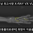 웅상동물병원 이미지