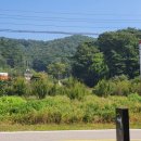 동가룰가든 이미지