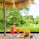 예이제448 이미지