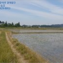 초락2리 마을회관 이미지