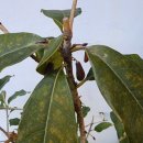 열매세탁소 이미지