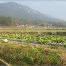 남해-190 이미지