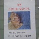 나비상가 이미지