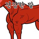 브이아이피썬팅