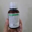 신촌약국 | 신촌 사랑니공장 사랑니 발치 후기(+붓기, 통증, 멍)