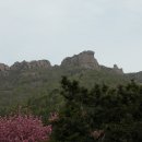 금산-51 이미지