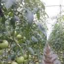 신원농장 이미지