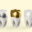 그린치과 이미지