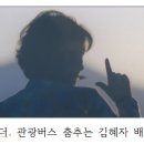 별씨네