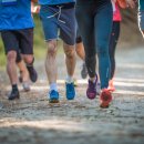 3.1운동길B 이미지