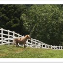 원당공원 이미지