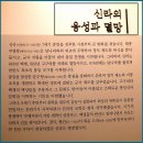 신라 역사문화의 발전 _경주박물관자료중심 [下편] 이미지