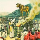 금송아지 이미지