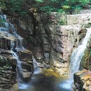 선경자전거 이미지