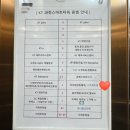 KT과천스마트타워 | 스트레치뱅 과천 체형교정 후기 거북목, 승모근 스트레칭 관리 리뷰