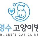 이영수 고양이 병원 이미지