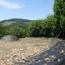 말매산(79m)우제봉(161m) 시대산(229m) 기대백이산(98m) 두리봉(101m)/전북 익산 이미지