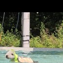 돌담과 초록 이미지