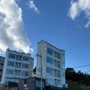 강릉 여행 숙소 라미아까사 풀빌라 펜션 다녀온 후기 내돈내산 추천