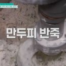 동이손만두 티스토리