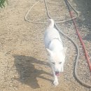 솔비 농장 이미지