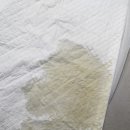 씽씽 동물의료센터 이미지