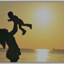 서해쭈꾸미 이미지