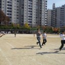 노원초등학교 이미지