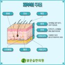 상상한의원 네이버블로그