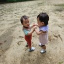 로이스어린이집 이미지