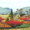 국립세종수목원 이미지