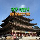 중문약천사 입구 도로변 | 제주 BEST 관광 약천사 중문관광단지 제주도