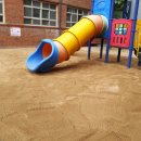 동호초교병설 이미지