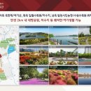 수원-1551 이미지