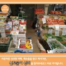신토불이상회