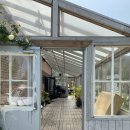 스테이제부 이미지