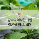 006-조리-006 이미지