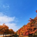 명수네
