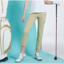 F&G 골프 이미지