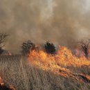 무성축산 이미지